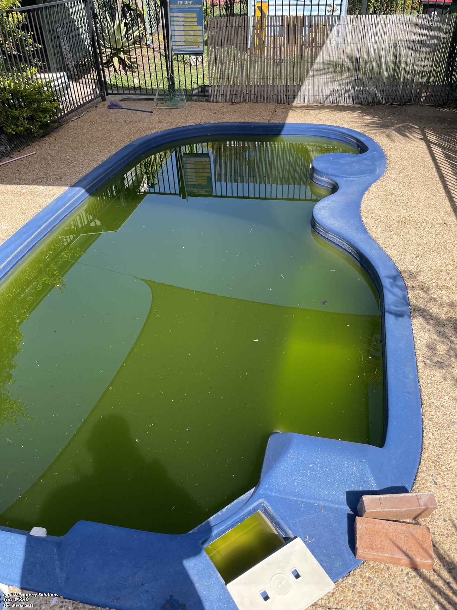 A neglected green pool before treatment